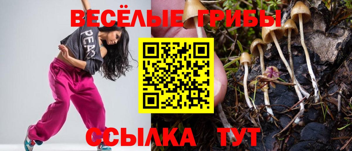 Псилоцибиновые грибы MAGIC MUSHROOMS Подольск