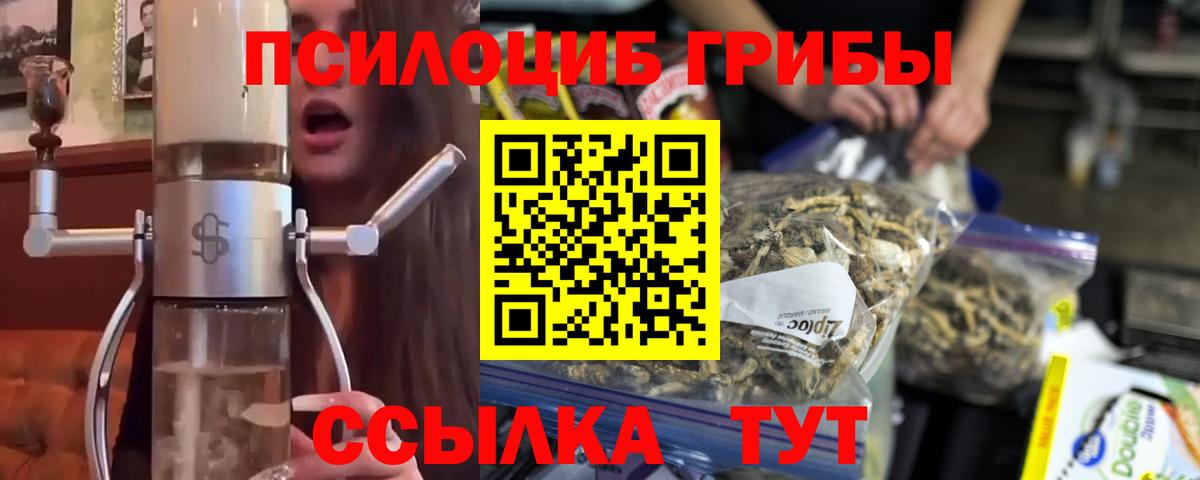 Галлюциногенные грибы Cubensis  Вход с VPN  Подольск  Псилоцибиновые грибы MAGIC MUSHROOMS 